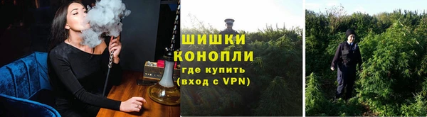 ГАЛЛЮЦИНОГЕННЫЕ ГРИБЫ Абдулино