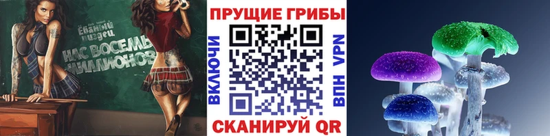 дарнет шоп  Киржач  Галлюциногенные грибы Magic Shrooms 