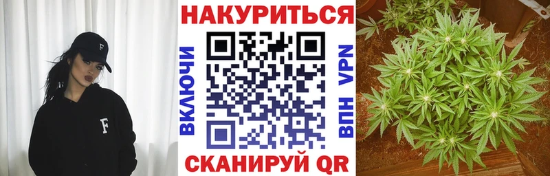 Шишки марихуана SATIVA & INDICA  продажа наркотиков  Киржач 